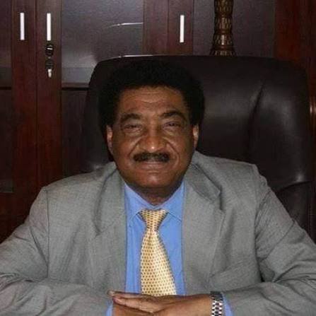 السفير عبد المحمود عبد الحليم