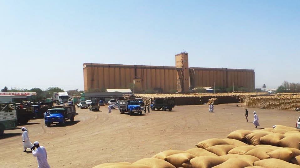 إرتفاع في أسعار المحاصيل الزراعية بالقضارف والفتريتة تقفز إلى (255) الف للاردب